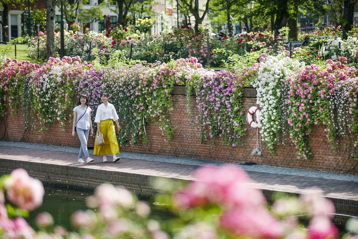 관광지이미지 6