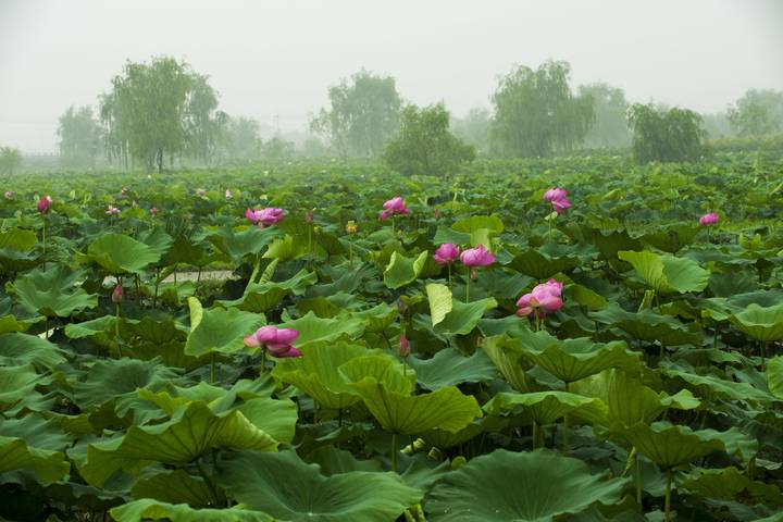 관광지이미지 7