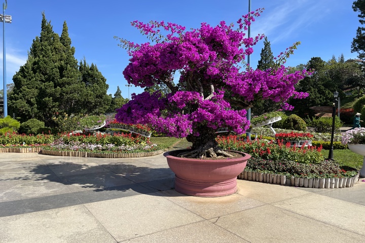 관광지이미지 12