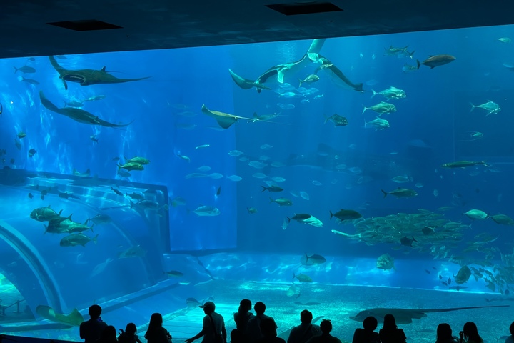 관광지이미지 7