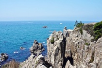 도진보