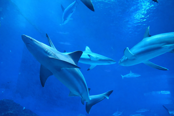 관광지이미지 16