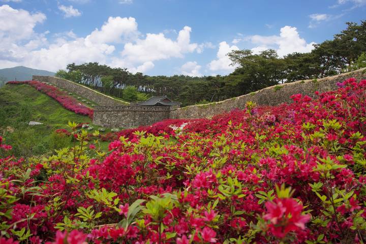 관광지이미지 3