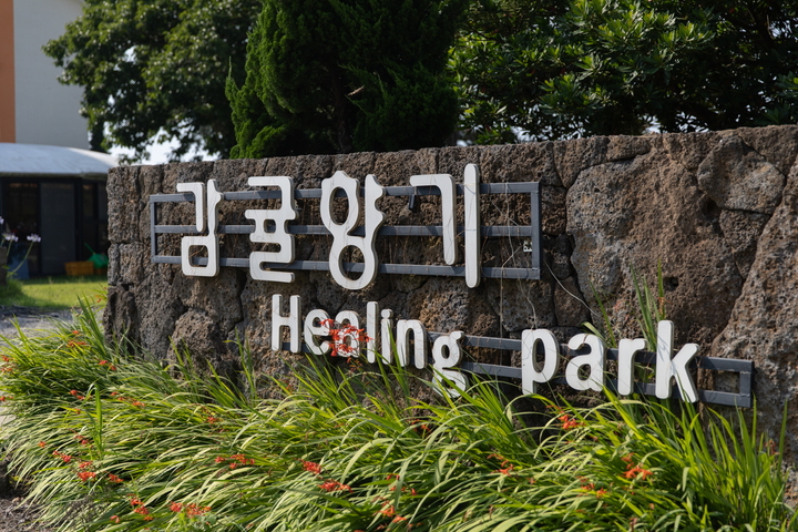 관광지이미지 15