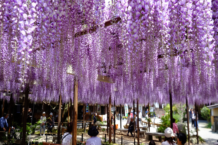 관광지이미지 3