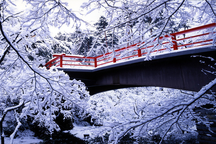 [KE][품격]【꿈결같은 휴식】니가타X특급료칸3일♨ ▶야히코/유자와+고급 가이세키