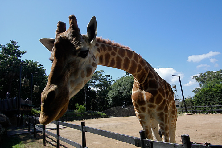 관광지이미지 20