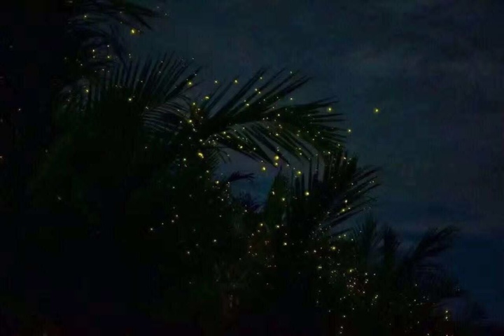 관광지이미지 7