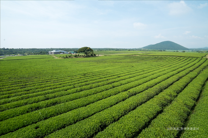 관광지이미지 12