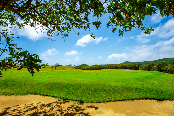 관광지이미지 13