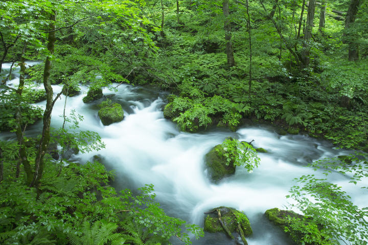 관광지이미지 7