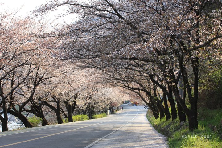 관광지이미지 3