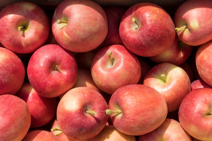 관광지이미지 10