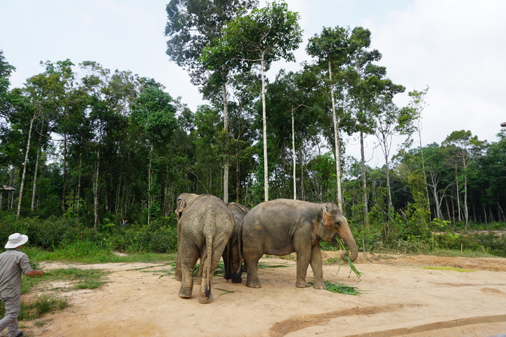 관광지이미지 5