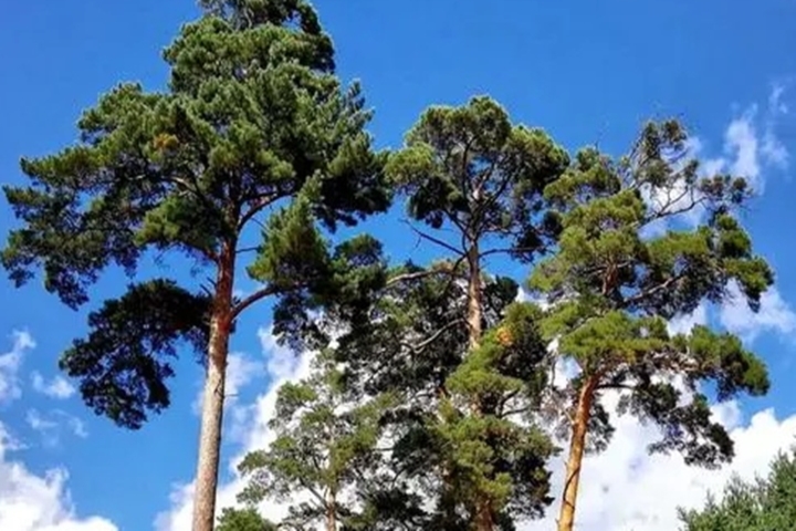 관광지이미지 10