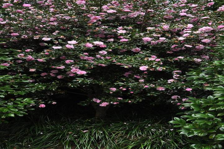 관광지이미지 3