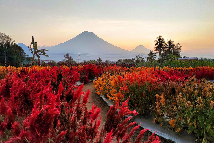 관광지이미지 10