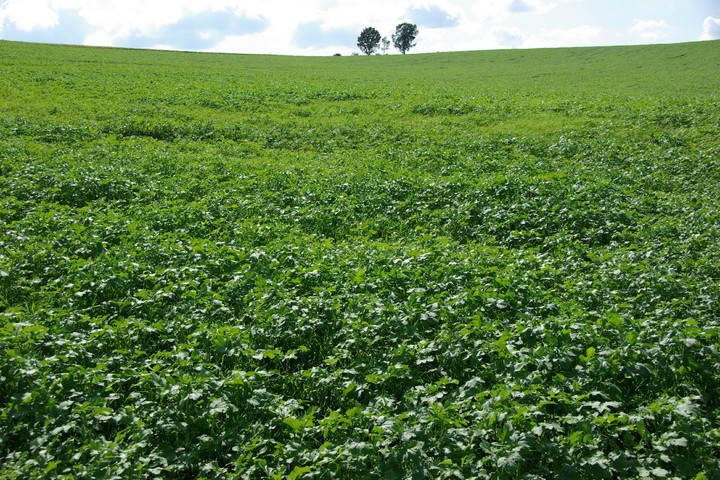 관광지이미지 5