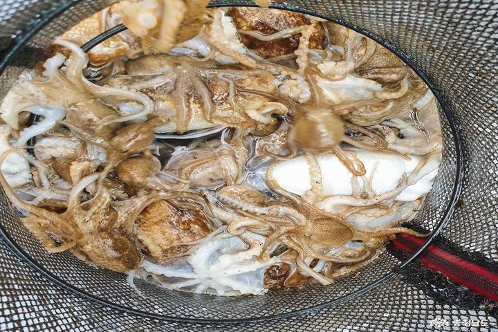 관광지이미지 5