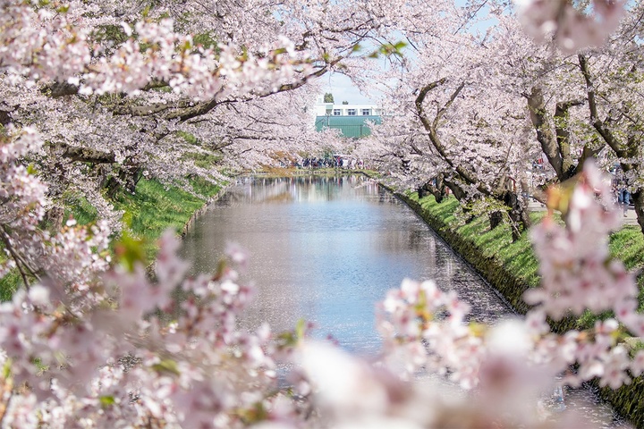 관광지이미지 2