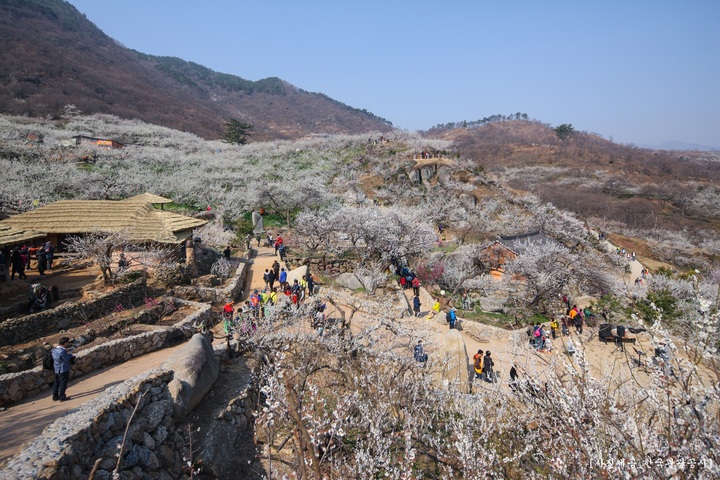 관광지이미지 3