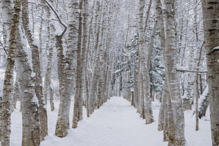 관광지이미지 5