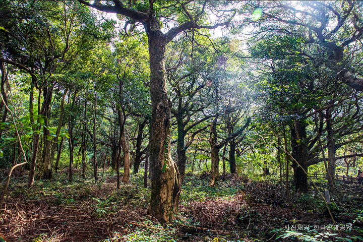 관광지이미지 18