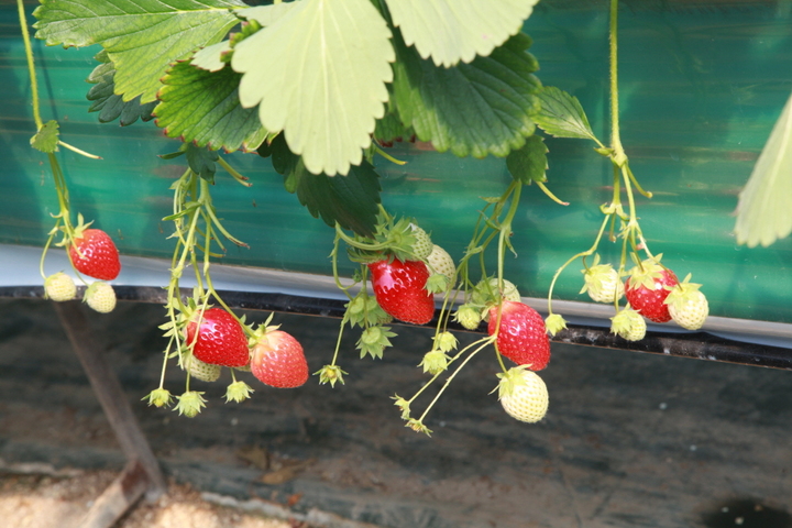 관광지이미지 4