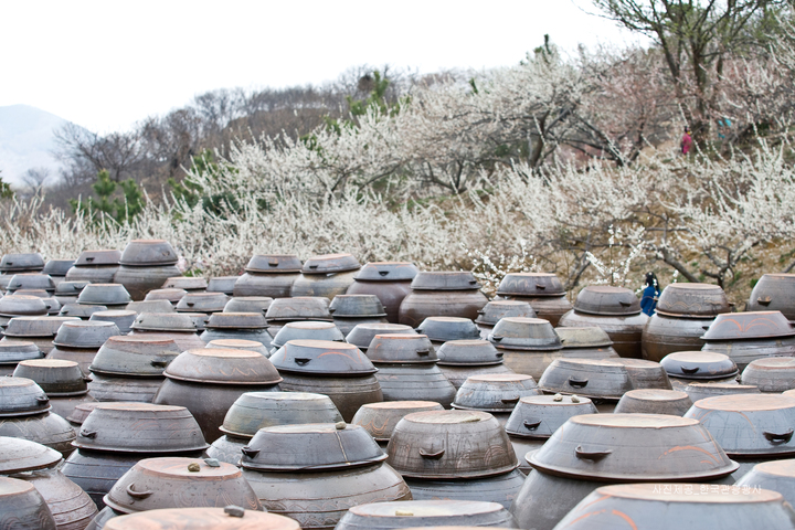 관광지이미지 4