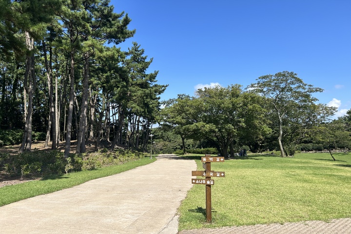 관광지이미지 8