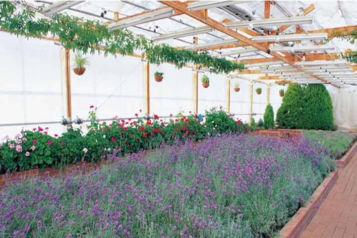 관광지이미지 4