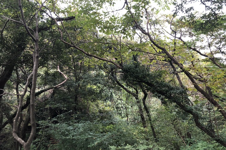 관광지이미지 17