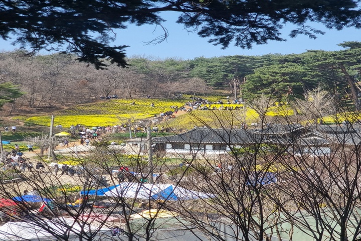 관광지이미지 3