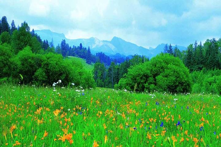 관광지이미지 5