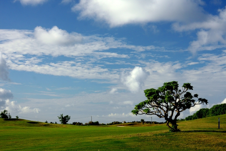 관광지이미지 7