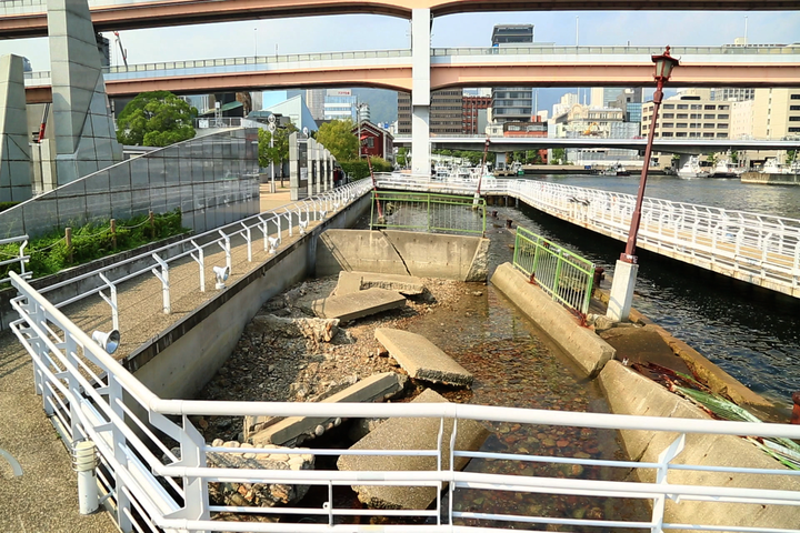 관광지이미지 4