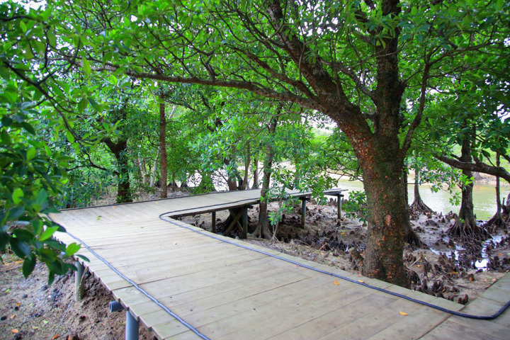 관광지이미지 4