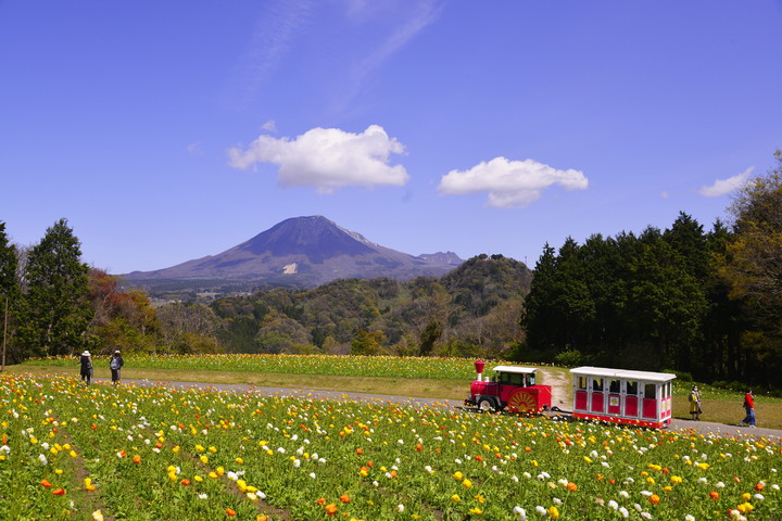 관광지이미지 3