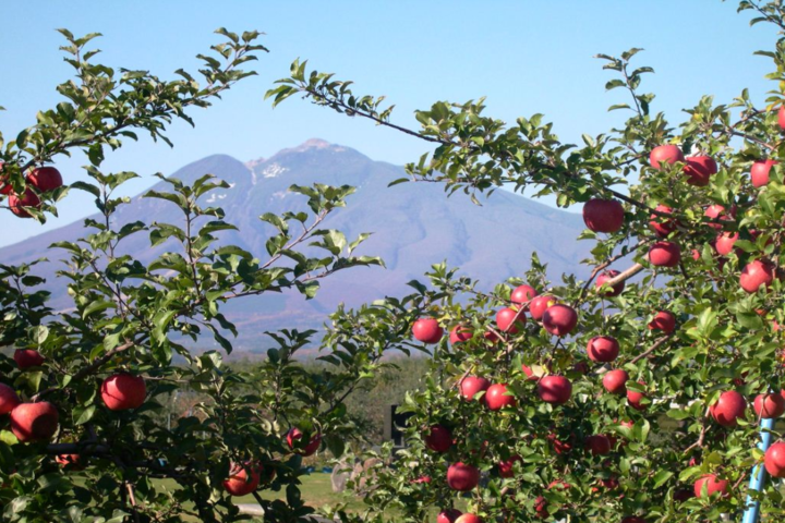 관광지이미지 9