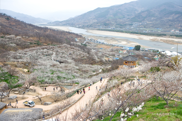 롯데관광::명품여행 ★확정★[단2회 출발!-호텔급] 웰빙, 행복, 건강! 여수, 광양 남도바닷길 2일