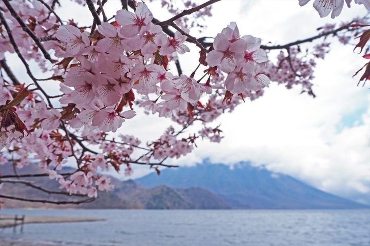 관광지이미지 1