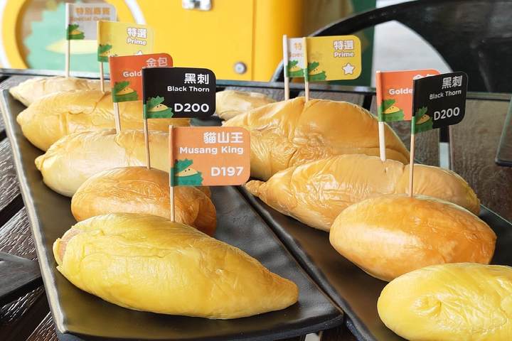 관광지이미지 17