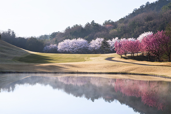 관광지이미지 12