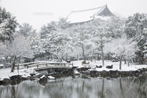 동대사
