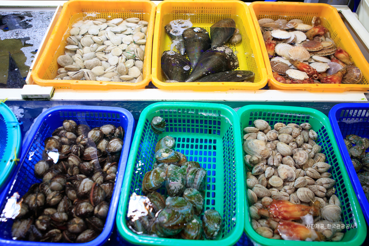 관광지이미지 11