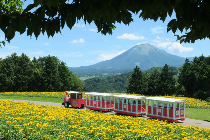 관광지이미지 5