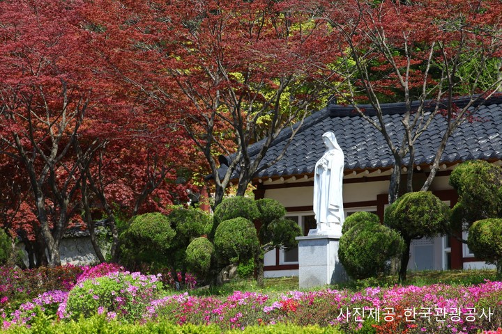 관광지이미지 2