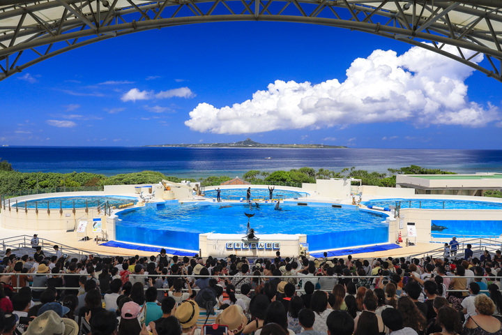 관광지이미지 4