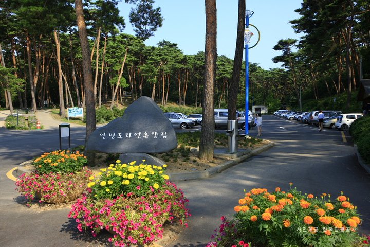 관광지이미지 7