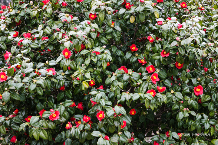 관광지이미지 1